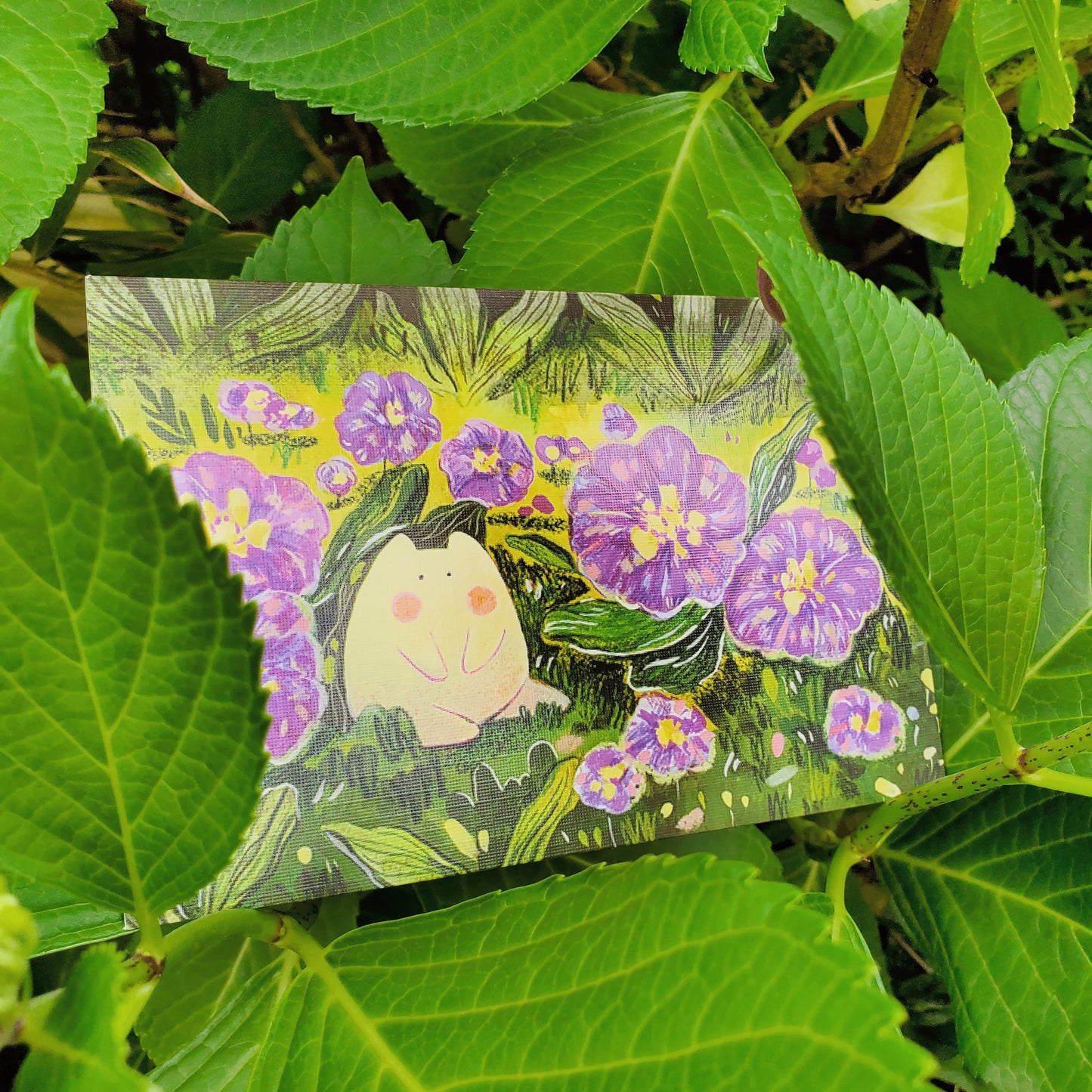 One With Nature Postcards