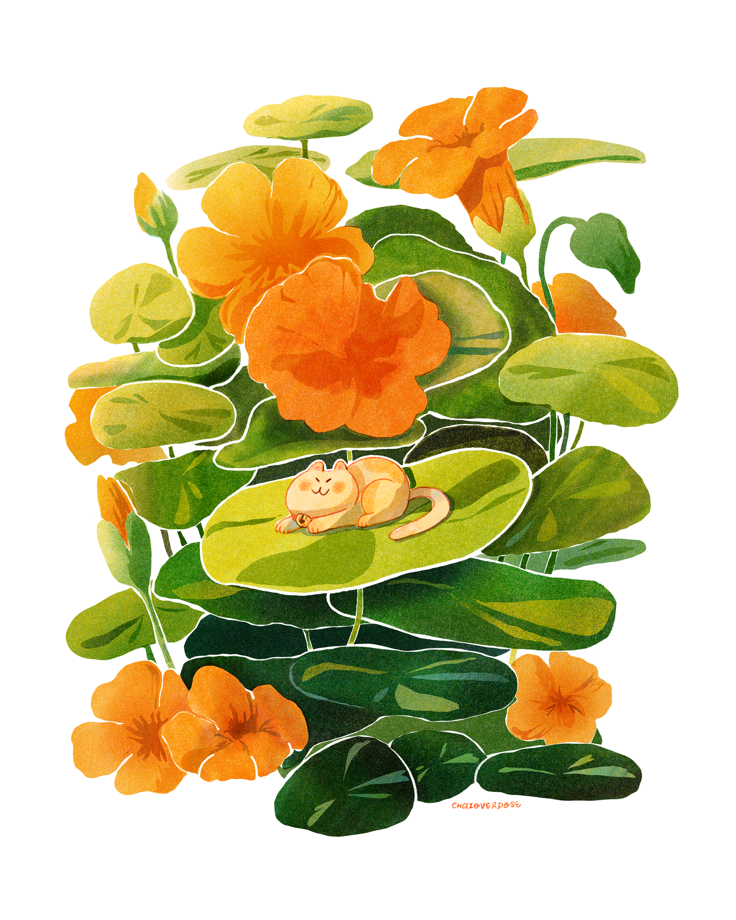 Nasturtium Cat Art Print