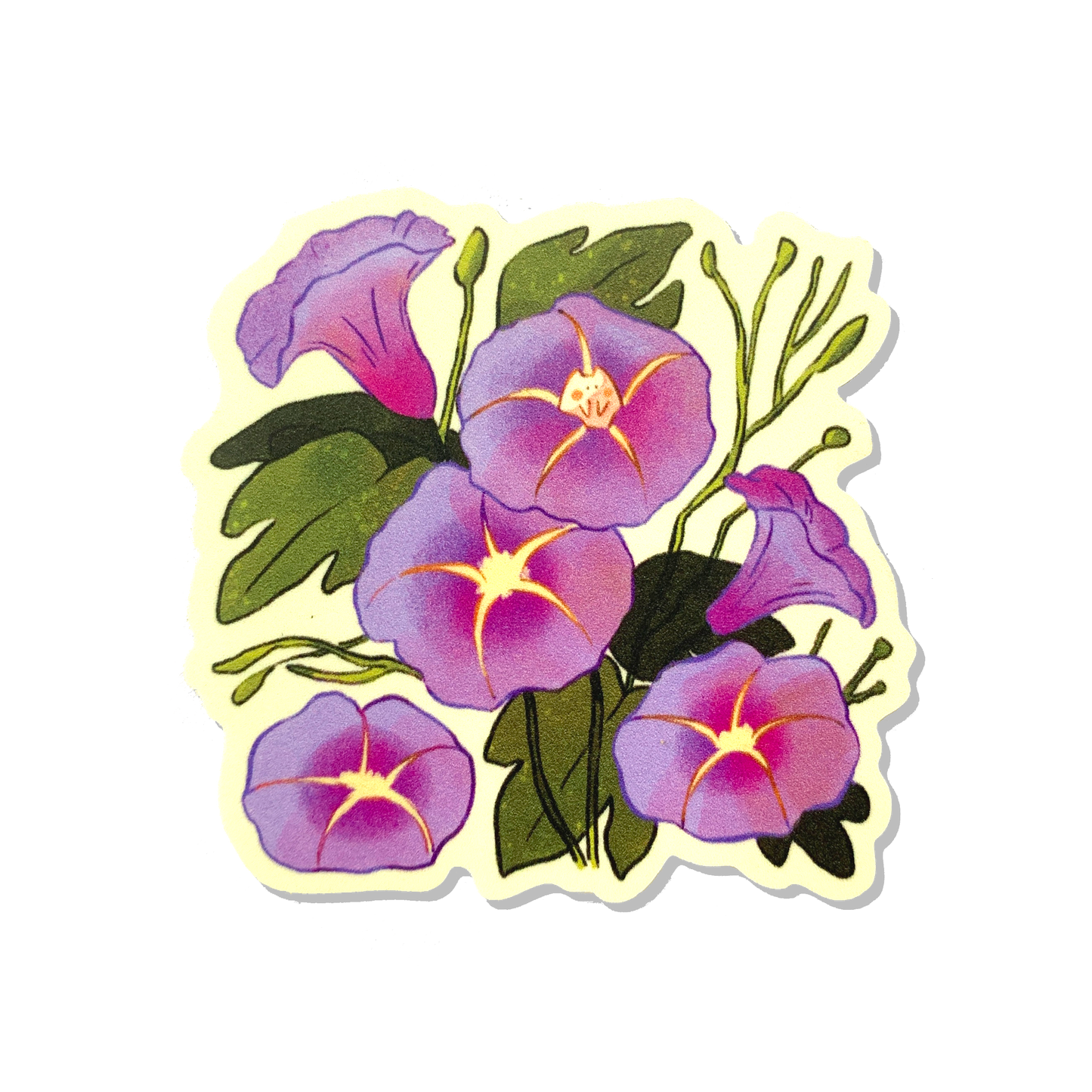 What's the Story, Morning Glory Sticker