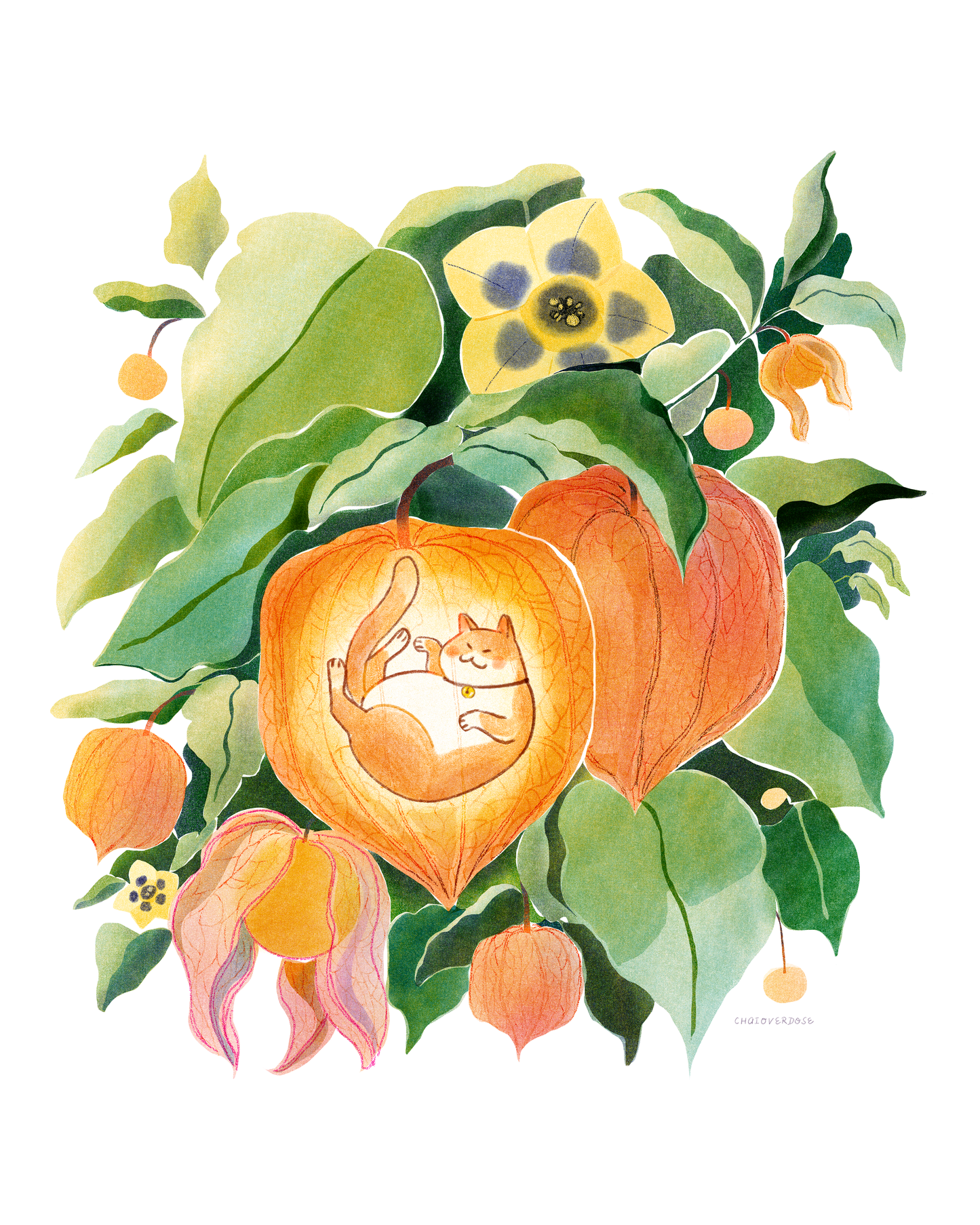 Golden Berry Cat Art Print