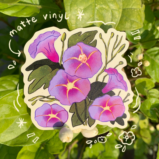 What's the Story, Morning Glory Sticker