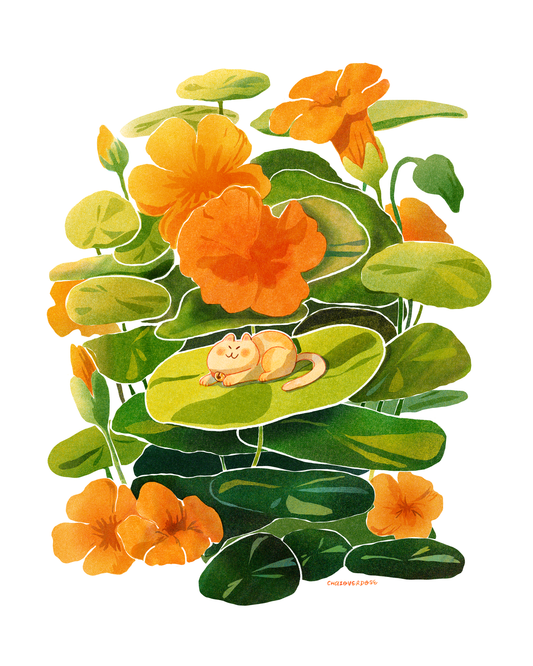 Nasturtium Cat Art Print