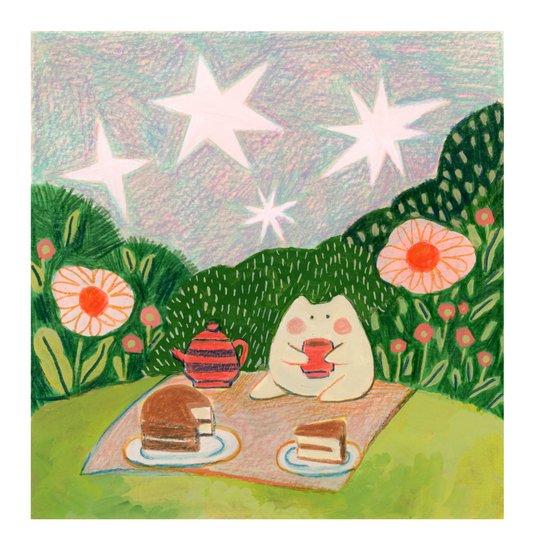 Picnic Under the Stars