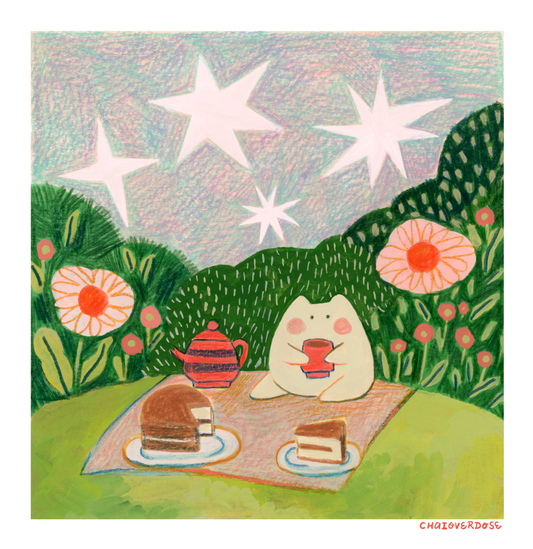 Picnic Under the Stars Art Print