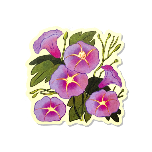 What's the Story, Morning Glory Sticker